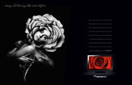 设计的成长路漫漫